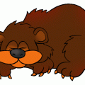 animal_bear_hibernation
