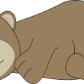 bear-sleeping