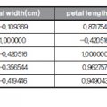 machine_learning13