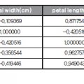 machine_learning13