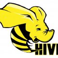 bd01.Hive_logo