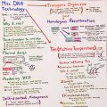 flowcharts-p9