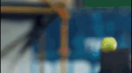 4628141_7OHNbG2u9u_1613749183255.gif