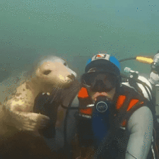 4586615_MP6wX9Dx23_1610804634982.gif