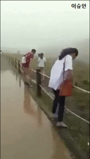 4536681_CZs1LzuYpI_1608168386636.gif