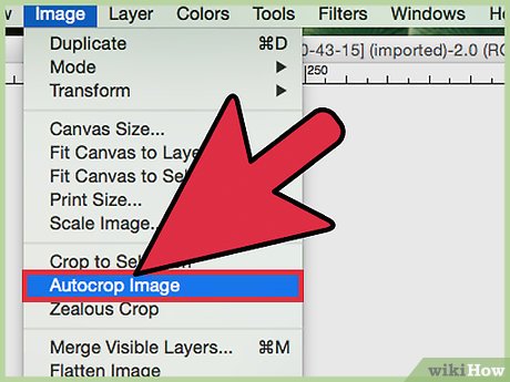 Convert Jpg to Vector Step 18 이미지