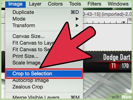 Convert Jpg to Vector Step 17 이미지