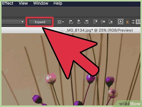 Convert Jpg to Vector Step 13 이미지