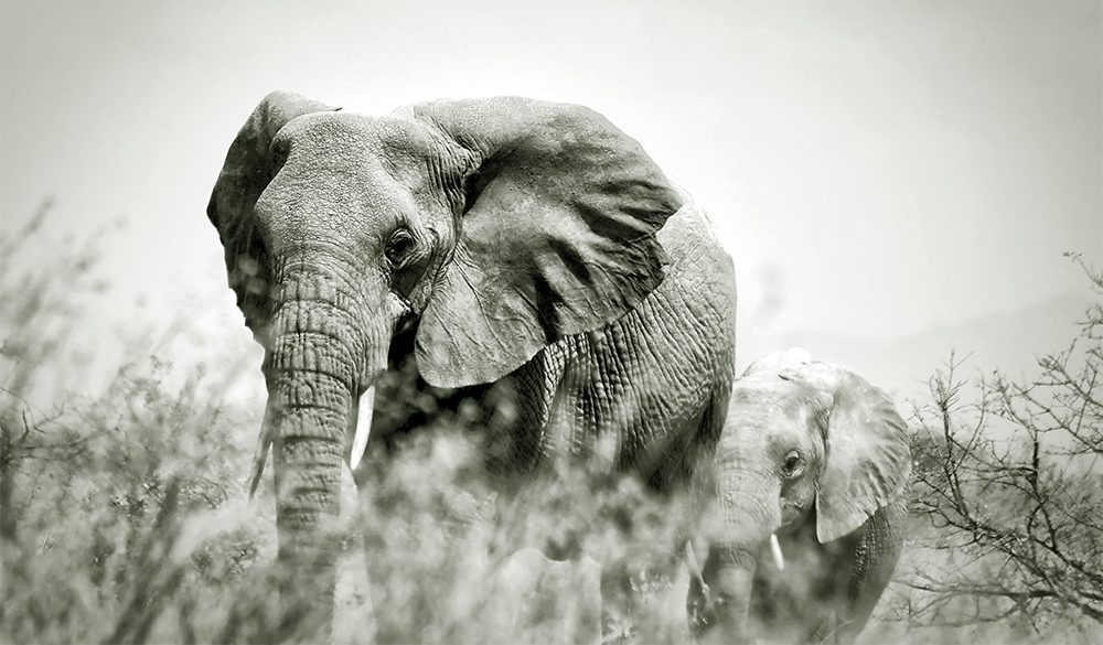 Big-Data-Hadoop-Alternatives.png