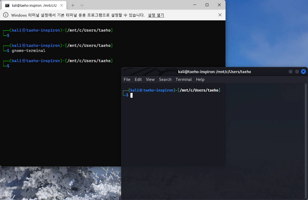 wsl에서 x window 터미널 실행 - gnome-terminal