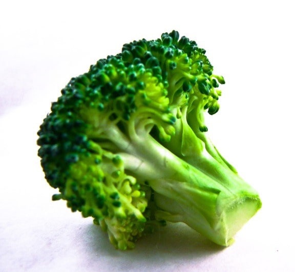 sample image-prediction sample image-prediction