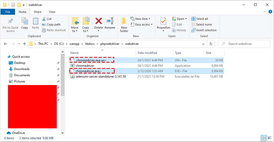 15 chromedriver delete files