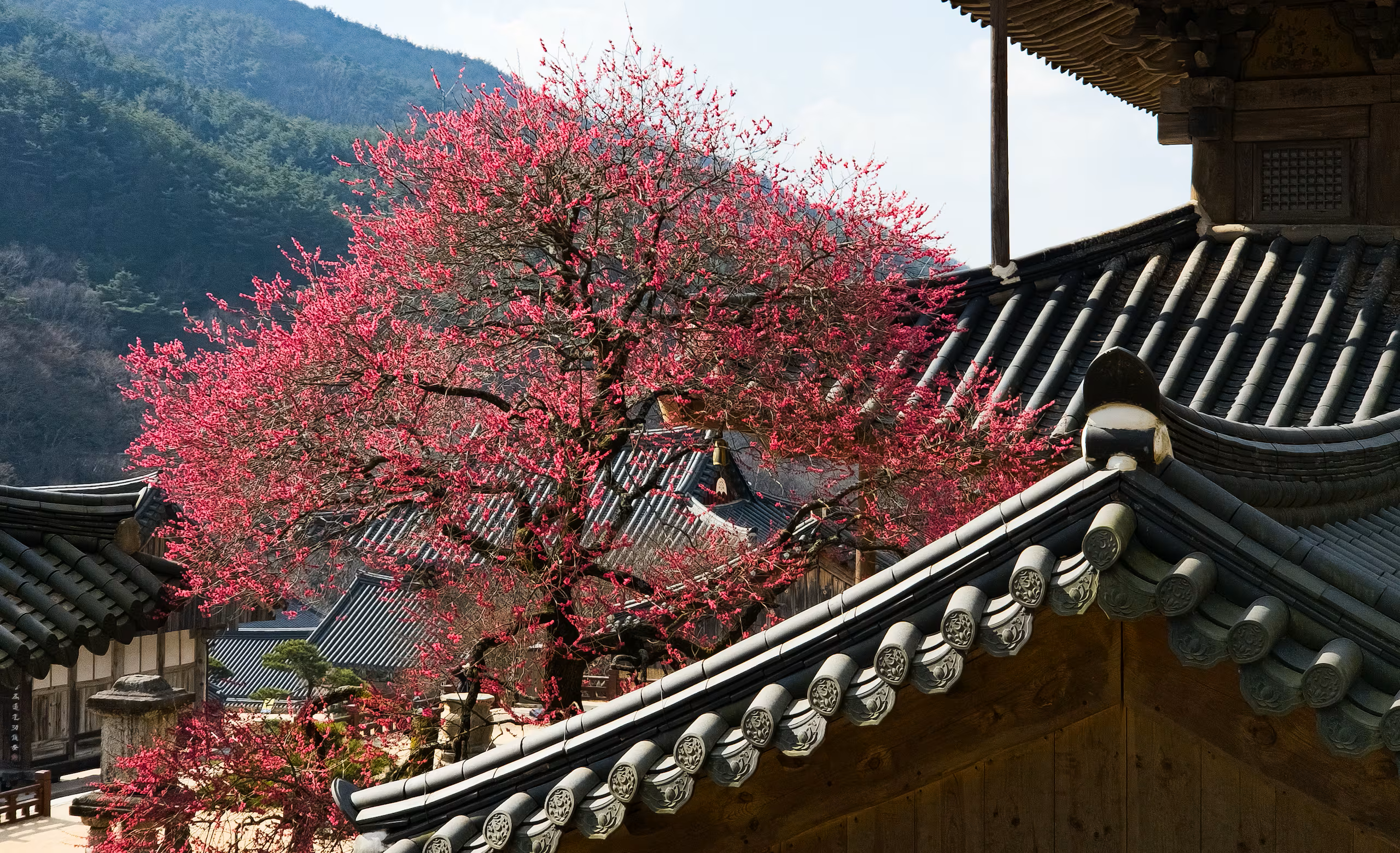 02.TBXNXOPAMVDXLNKP4RSPCMYWOU.png