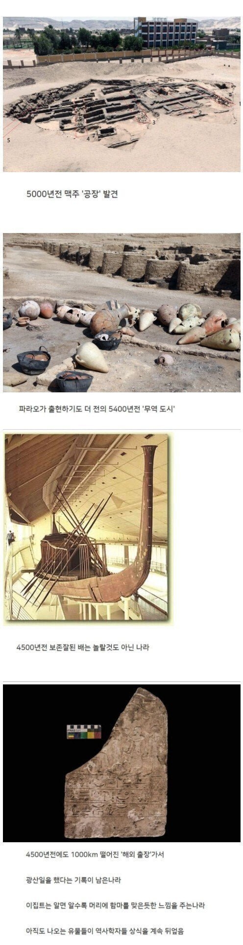 [유머] 파면 팔수록 이상한 나라.jpeg