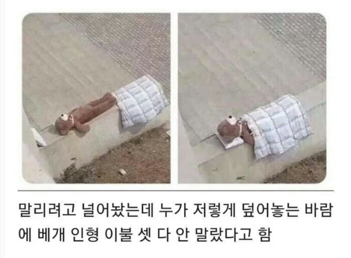 친절함이 부른 참사.jpg