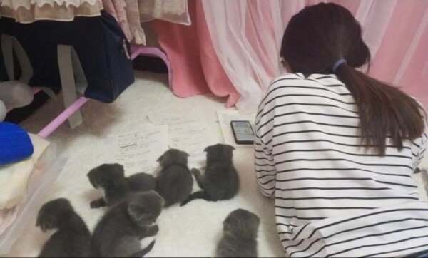 4892194_lYei2ZfPdd_1637341067443.jpeg
