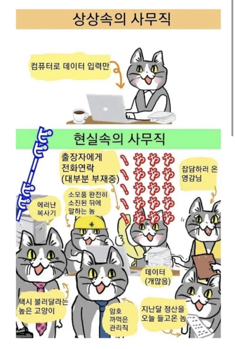 상상속의 사무직 VS 현실속의 사무직.jpeg