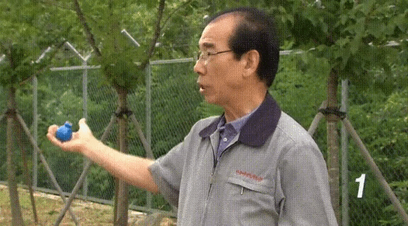 훈련용 수류탄 제조사 전무님의 자신감2.gif