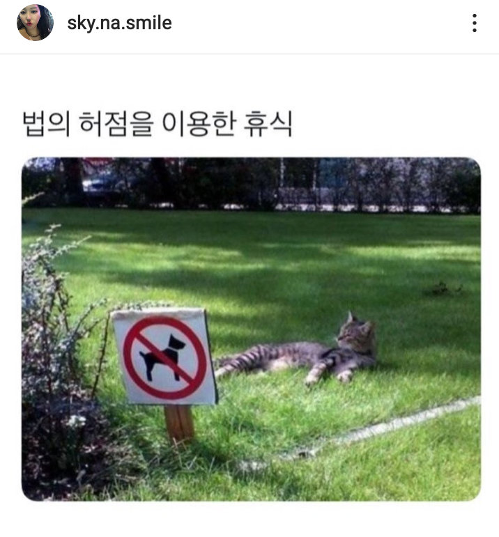법의 허점을 이용한 휴식.png