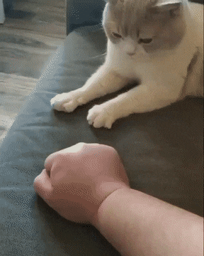 꼬맹아 이거 따라해봐.gif