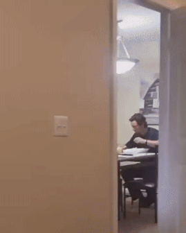 4793444_EStXFH2Z5N_1628271562623.gif