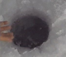 4412999_4ZdeUl6nt0_1600181933615.gif