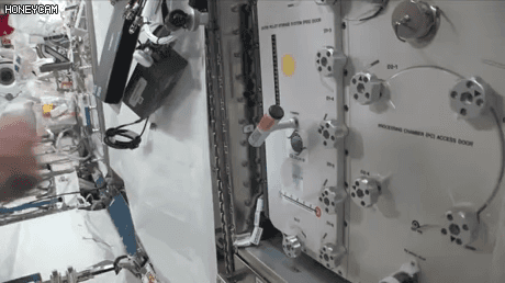 4740345_1623992085401.gif