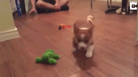 4738884_emrLoFJQJd_1623851754427.gif