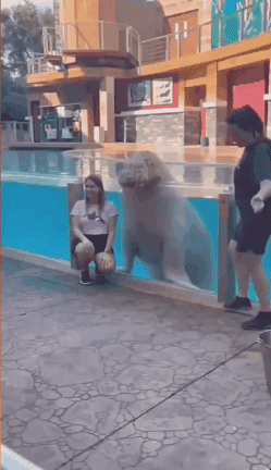 박수 세번 짝짝짝~!.gif