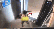 4740055_tvb3Yx7M1f_1623975447019.gif