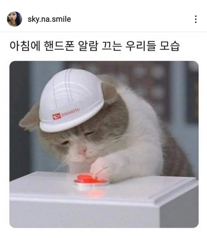 아침에 핸드폰 알람 끄는 우리들의 모습.png