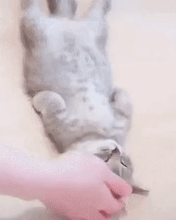 C2107161051062990.gif