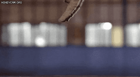 4797714_NYIgHr9n0a_1628645401139.gif