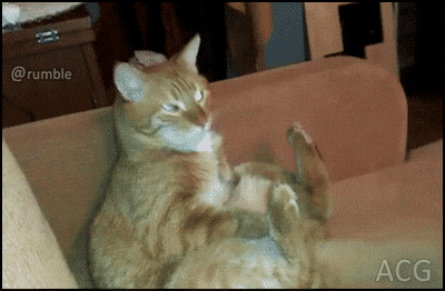 물리 엔진 오류.gif