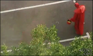 악마의 장난.gif