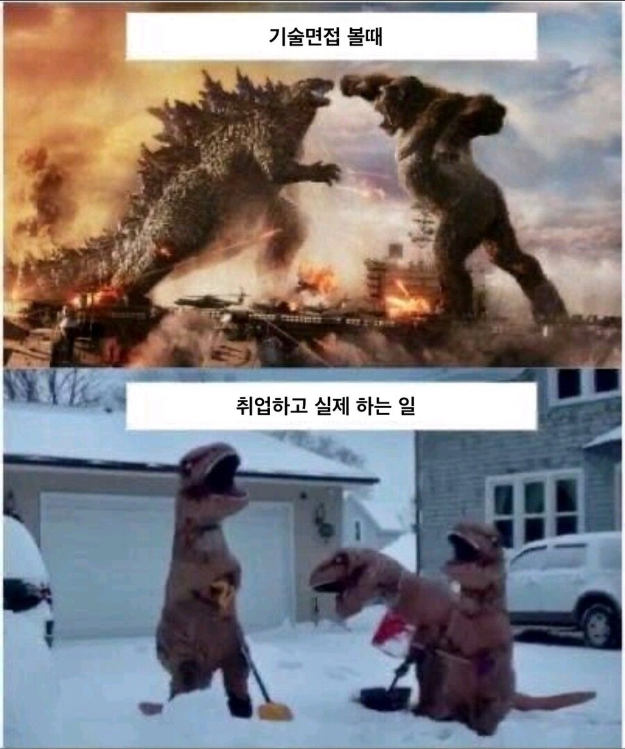 개발자 취업 근황.jpeg