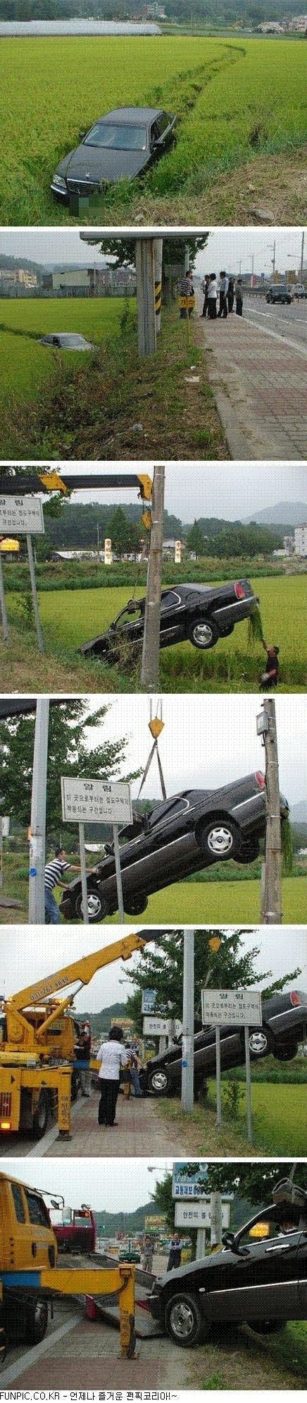 어느 초보운전 아줌마.jpeg