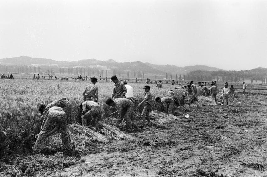 싱글벙글 한국 70년대 청소년들8.jpg