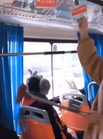 버스에서 핸드폰 보는법.gif