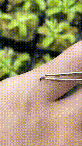 4313310_KpbimeASWw_1594207882107.gif
