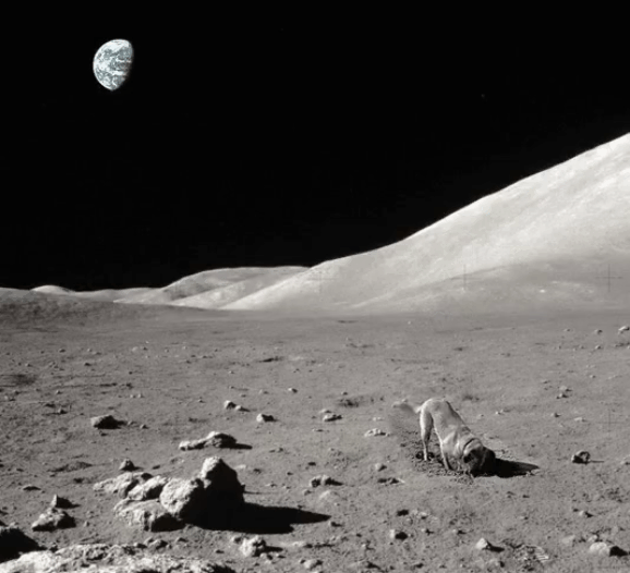 NASA 달 표면에 구멍이 많은 이유 공개.gif