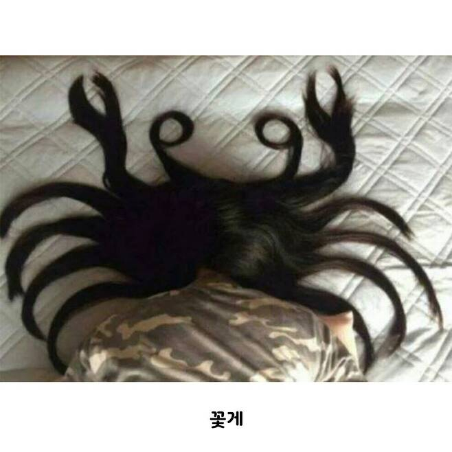 [유머] 만취해서 들어온 여동생의 최후4.jpeg