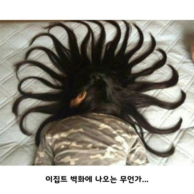 [유머] 만취해서 들어온 여동생의 최후2.jpeg