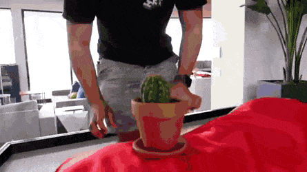 밑장빼기의 달인.gif