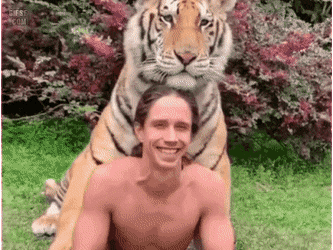 4385899_vmj5EPy4Df_1598762117449.gif