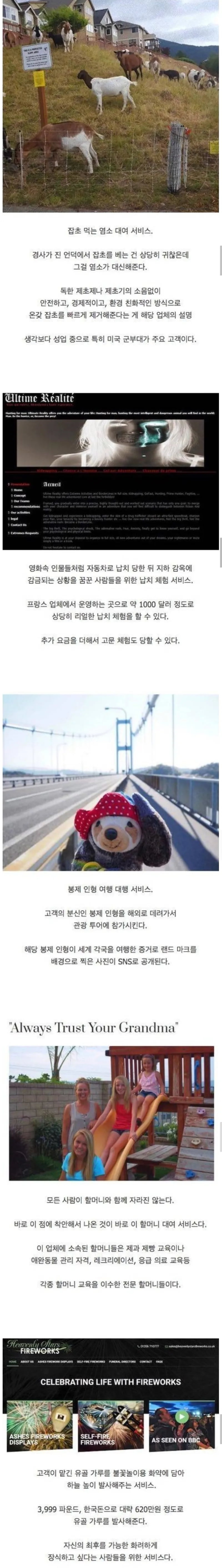 해외의 좀 특이한 유료서비스1.jpeg