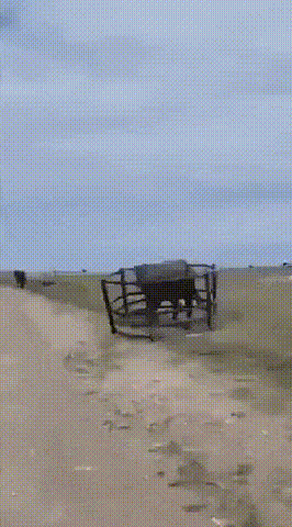 소 잃고 외양간 고친다.gif