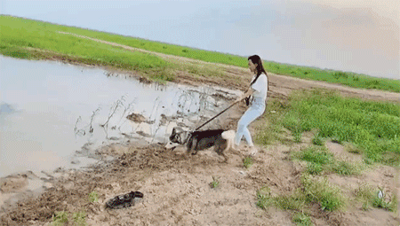 수상 스키.gif