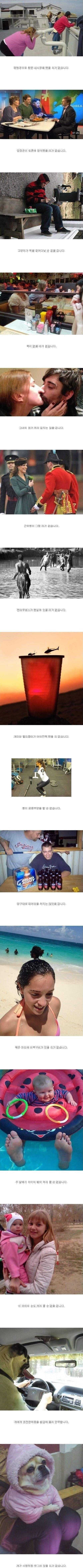 착시 현상 사진들.jpeg