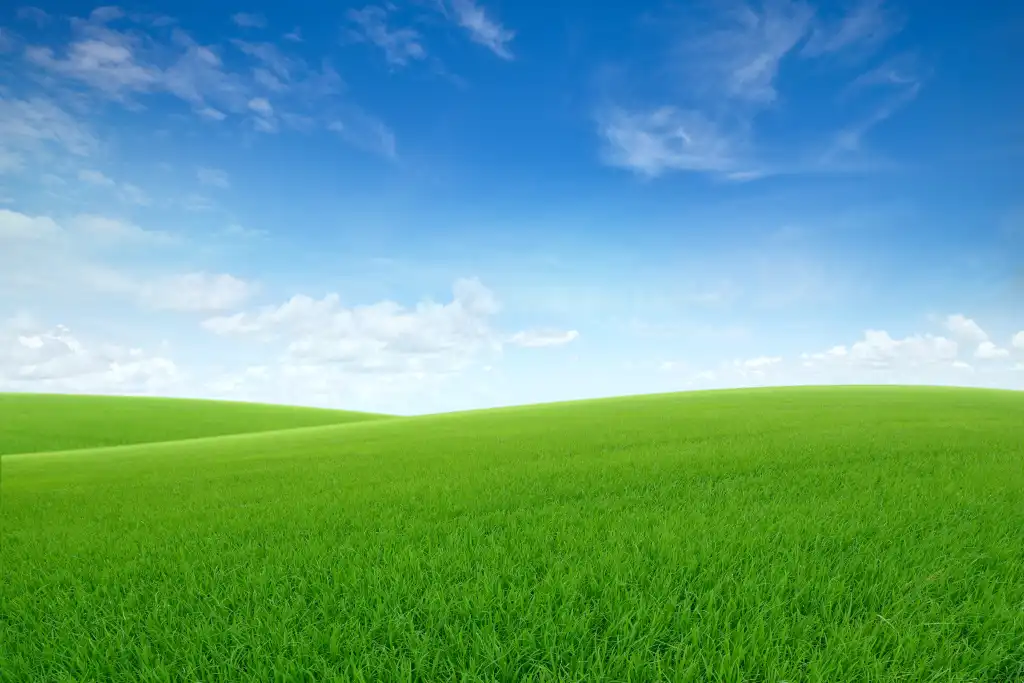 01 3967678-0-70166200-1745395027-shutterstock_1724042191.png